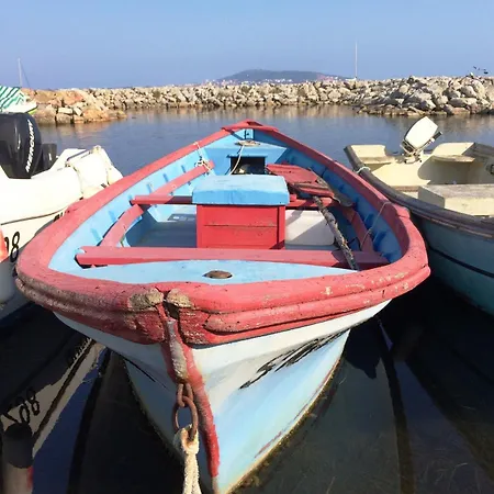 Donkey With Sea View